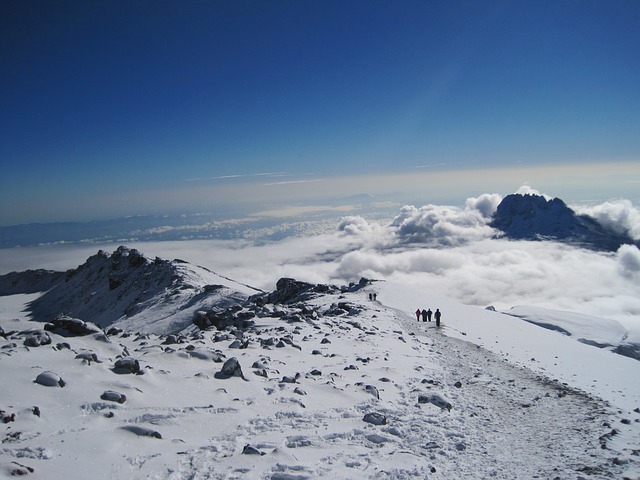 kilimanjaro