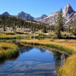 Sequoia National Park