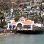 Explore Catalina Island’s Wild Side with the Ultimate Land and Sea Adventure