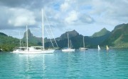 Tahiti moorea