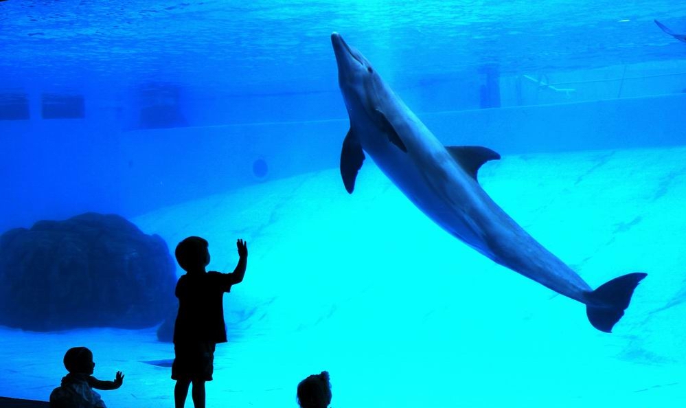 Texas State Aquarium