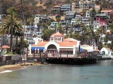 Explore Catalina Island’s Wild Side with the Ultimate Land and Sea Adventure