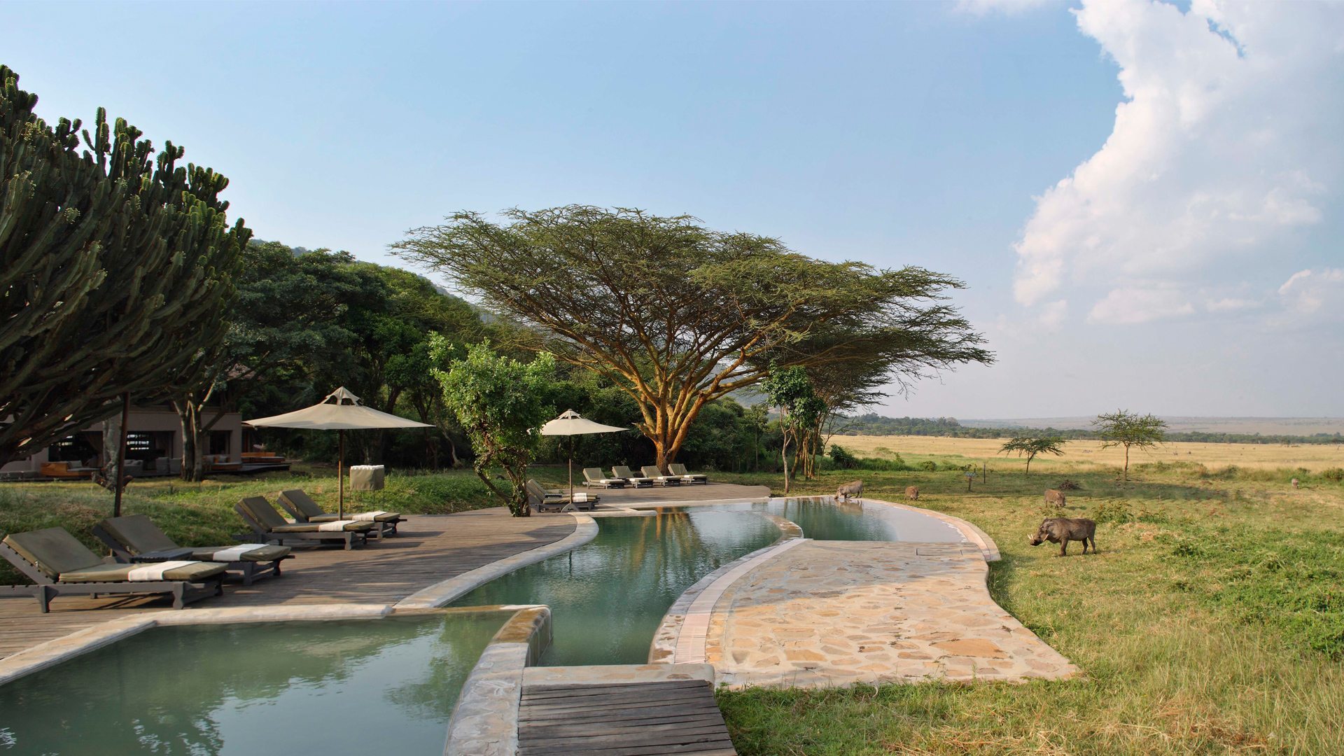 Kichwa Tembo
